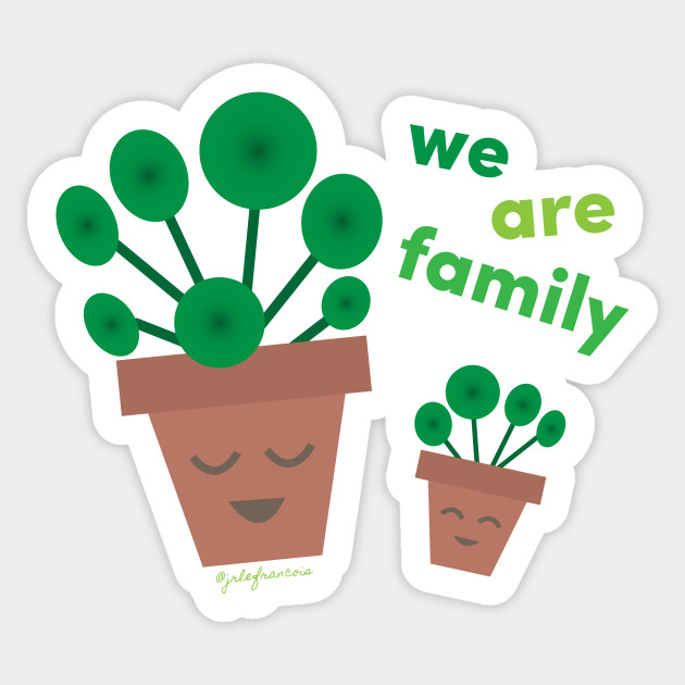 We Are Family Pilea peperomioides